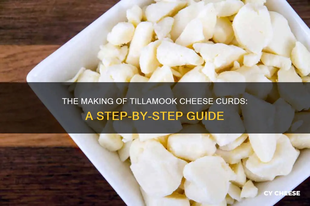 how are tillamook cheese curds made