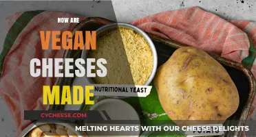 Crafting Vegan Cheese: Unveiling the Plant-Based Process