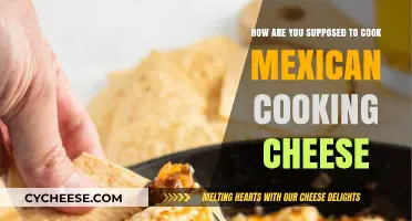 Authentic Mexican Cooking: Melting Cheese Perfection
