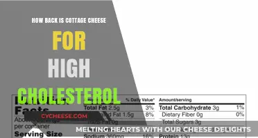 Is Cottage Cheese Bad for High Cholesterol? Facts and Tips