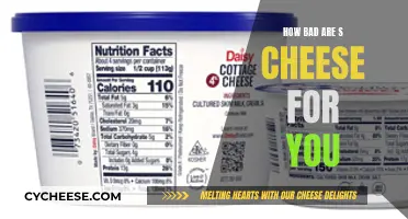 Cheese: Healthy or Harmful?