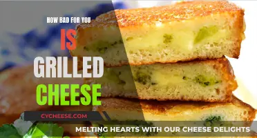 Grilled Cheese: A Toasty Take on Health