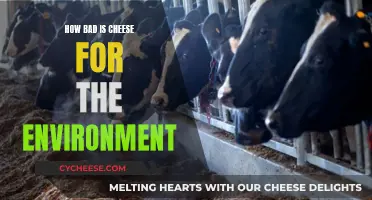 Cheese's Environmental Impact: What's the Damage?