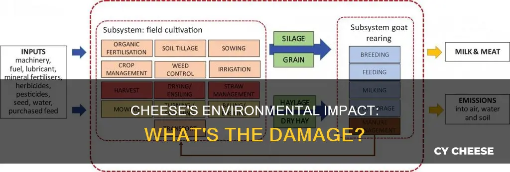how bad is cheese for the environment