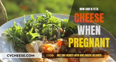 Feta Cheese and Pregnancy: Is It Safe?