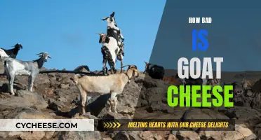 Goat Cheese: Is It Really That Bad For You?