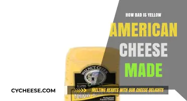 The Surprising Truth: Is Yellow American Cheese Really That Bad?