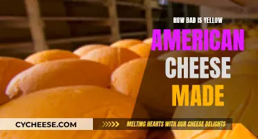 American Cheese: Is the Yellow Stuff Really That Bad?