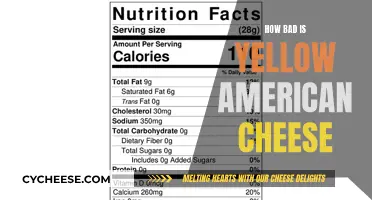 American Cheese: Is It Really That Bad?