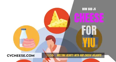 Cheese's Negative Impact: Is it Really Bad for You?