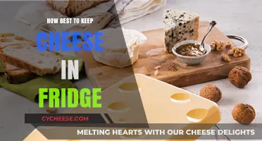 Keep Cheese Fresh: Best Fridge Storage Tips