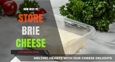 The Best Ways to Store Brie Cheese