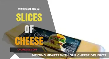 Pre-Cut Cheese Slices: Understanding Their Standard Size and Dimensions