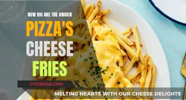 Cheese Fries: A Tasty Adventure in Anioch Pizza's Kitchen