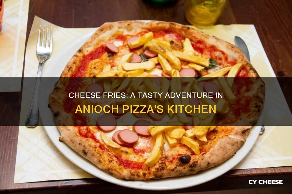 how big are the anioch pizza