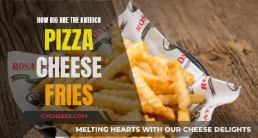 Antioch Pizza's Cheesy Fries: A Tasty, Size-Packed Delight