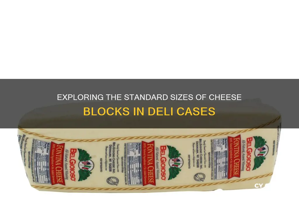 how big are the blocks of cheese deli case