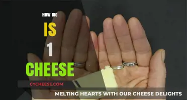 Understanding the Size of a Single Cheese Portion: A Guide