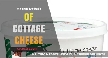 Visualizing 100 Grams of Cottage Cheese: Size, Portion, and Nutrition