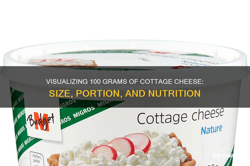 how big is 100 grams of cottage cheese