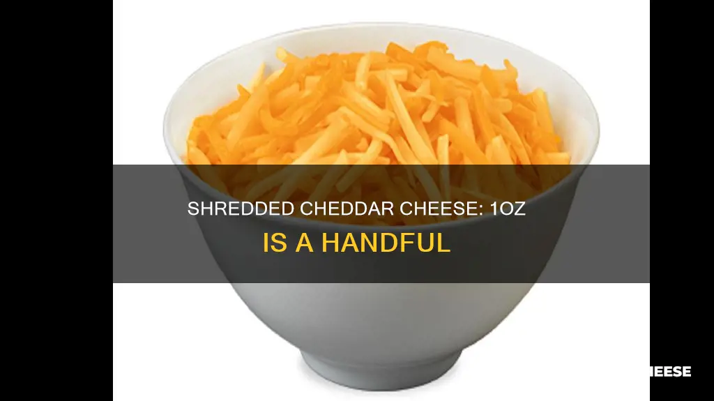 how big is 1oz of shredded cheddar cheese