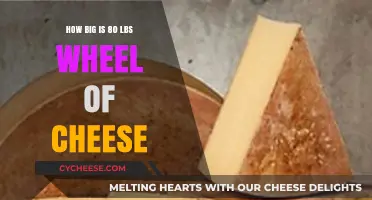 Massive 80-Pound Cheese Wheel: Size, Scale, and Surprising Dimensions