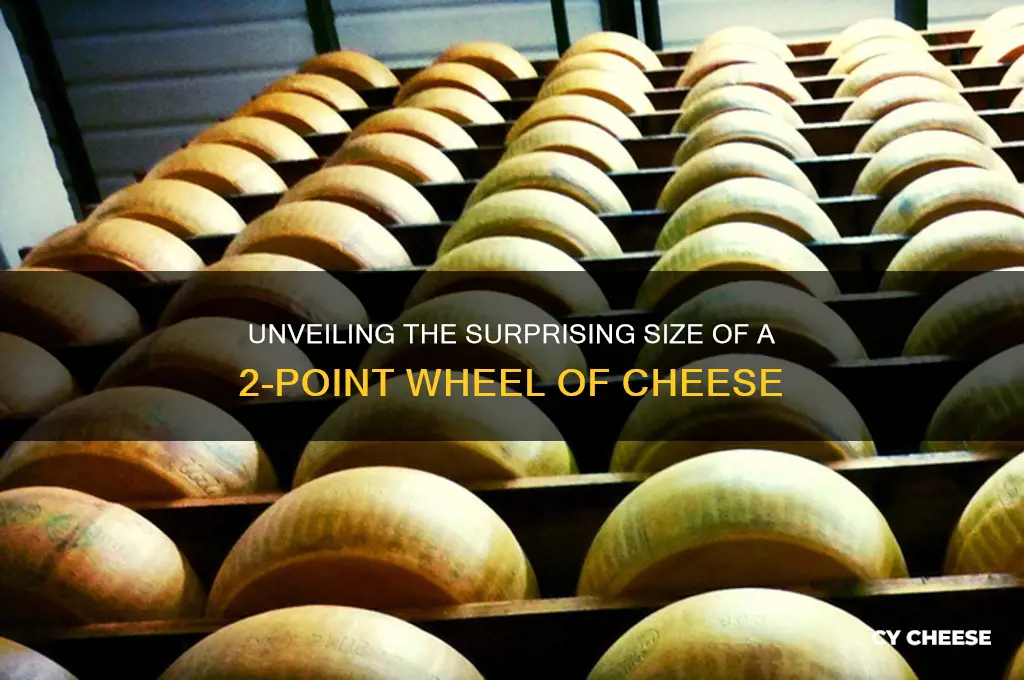 how big is a 2 point wheel of cheese