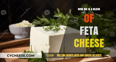 Feta Cheese Blocks: Standard Sizes and Uses