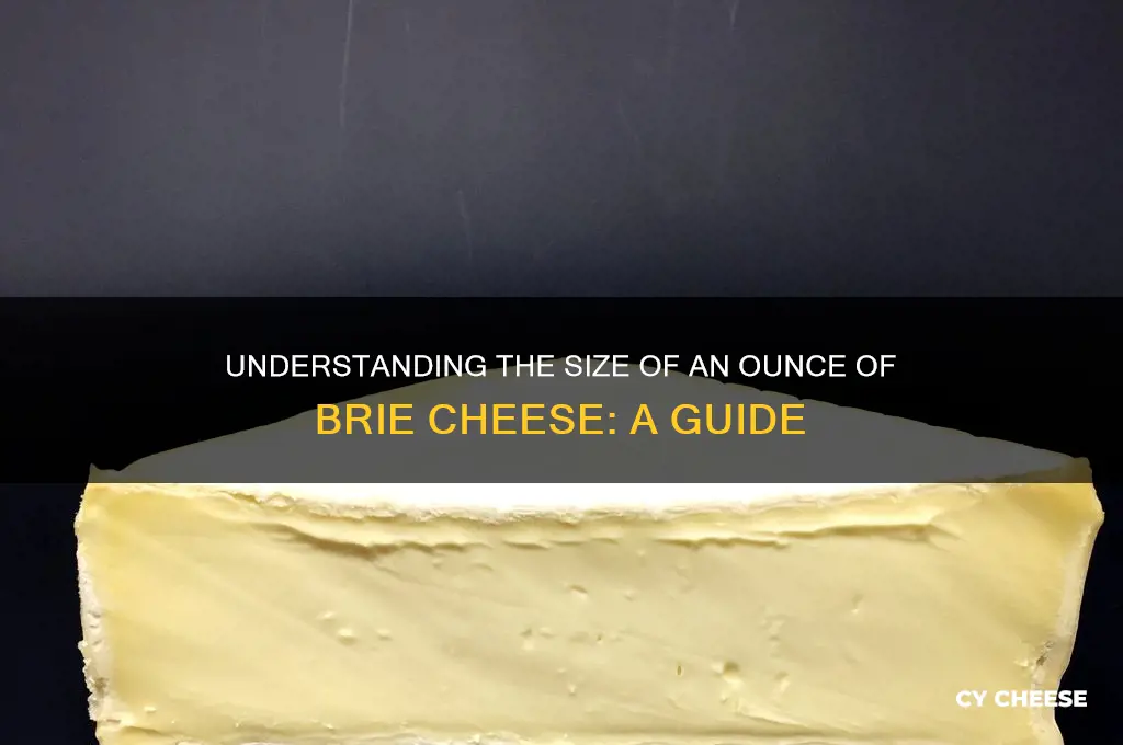 how big is an ounce of brie cheese