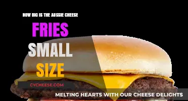 Aussie Cheese Fries Small Size: Unveiling the Perfect Snack Portion