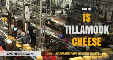 Exploring Tillamook Cheese: Size, Production, and Iconic Legacy Revealed