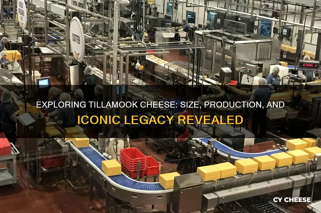 how big is tillamook cheese