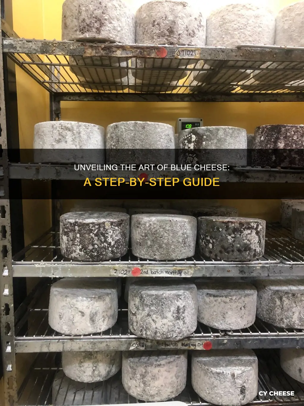 how blue cheese is made step by step