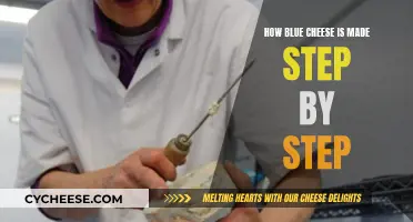 Crafting Blue Cheese: A Step-by-Step Guide to Deliciousness