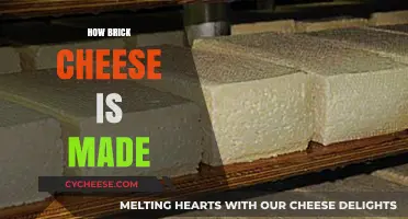 Unveiling the Art of Brick Cheese: A Delicious Journey