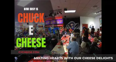 Chuck E. Cheese: A Fun-Filled Frenzy for Families