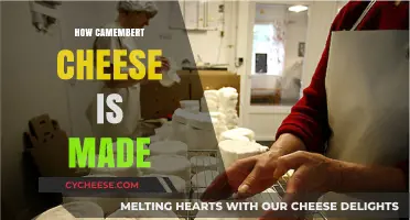 The Art of Camembert: Unveiling the Secrets Behind France's Creamy Cheese