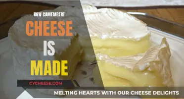 The Art of Making Camembert Cheese