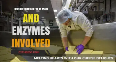 Unveiling Cheddar's Golden Touch: The Enzyme Magic Behind the Cheese