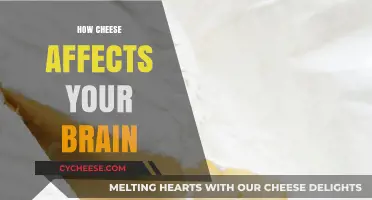Cheese and Cognition: Unraveling the Brain-Boosting Power of Dairy Delights