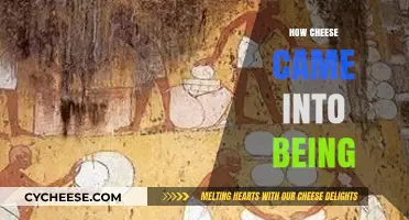 The Ancient Origins and Evolution of Cheese Through History