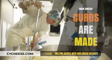 From Milk to Curds: The Art of Cheese-Making