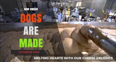 Unveiling the Secrets: A Journey from Farm to Cheesed Dog