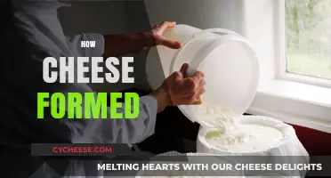 The Surprising Journey of Cheese: From Milk to Delicious Delight