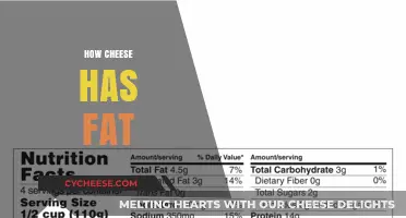 Understanding Cheese Fat Content: A Comprehensive Guide to Dairy Nutrition