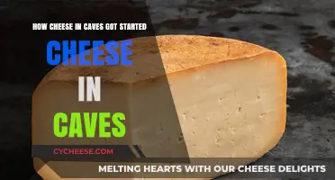 The Ancient Art of Cave-Aged Cheese: A Tasty Tradition