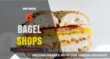 Cheese Meets Bagel: A Match Made in Breakfast Heaven