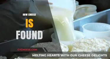 Discovering Cheese: From Ancient Origins to Modern Production Methods
