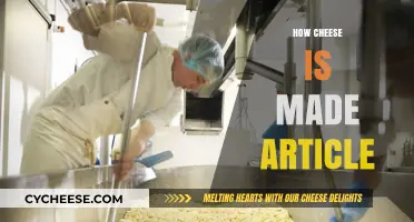 Unveiling the Art of Cheese: A Journey from Milk to Masterpiece