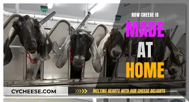 Making Cheese at Home: A Beginner's Guide